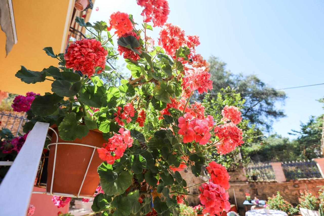 Alexis & Loula Village House Arkadades المظهر الخارجي الصورة